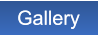 Gallery Gallery